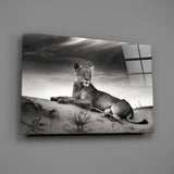 Lioness Glass Wall Art.