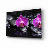 Magenta Orchids On Wet Zen Stones Glass Wall Art - 72x46 cm