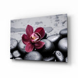Burgundy Orchid Gray Pebbles Glass Wall Art - 72x46 cm
