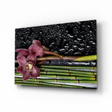 Weinrote Orchidee und Bambusstängel Glasbild - 72x46 cm