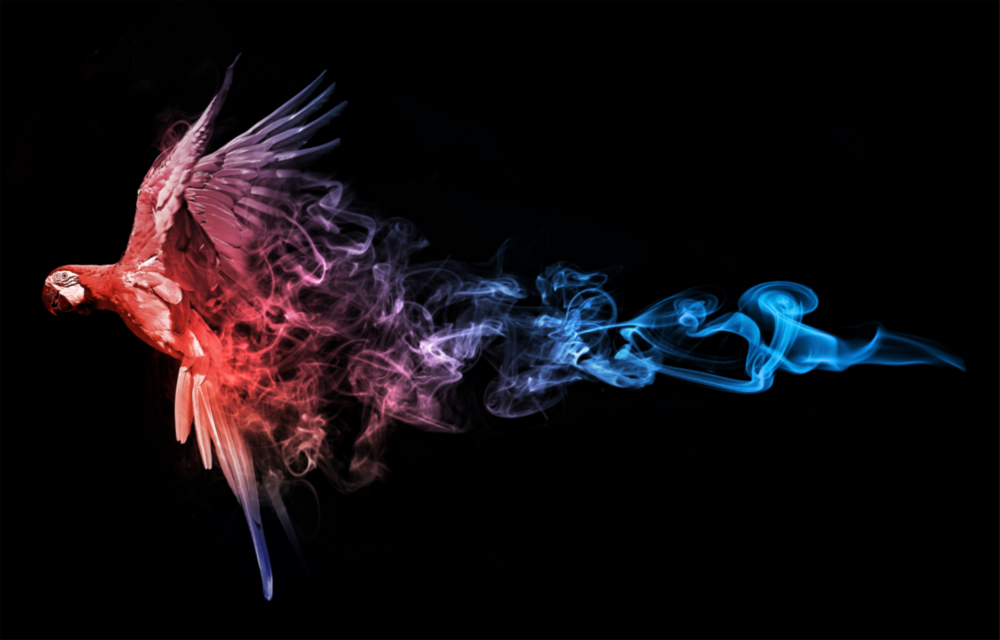 Parrot Glass Wall Art