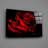 Red Rose Glass Wall Art.