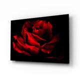 Glowing Red Rose Close Up Glass Wall Art - 72x46 cm