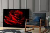 Red Rose Glass Wall Art.