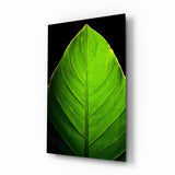 Sonnenbeschienene Grüne Blattspitze auf Schwarz Glasbild - 72x46 cm
