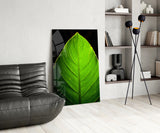 Green Leaf Glass Wall Art.
