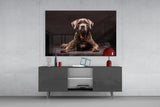 Dog Glass Wall Art.