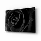 Schwarze Rose Glasbild - 72x46 cm