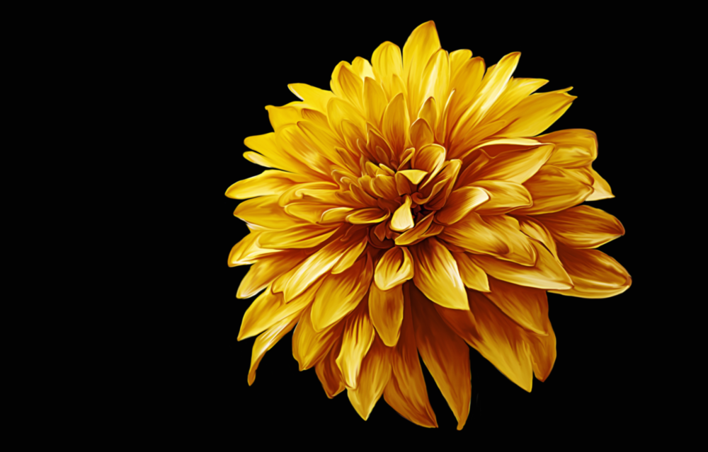 Arte della parete di vetro Fiore giallo