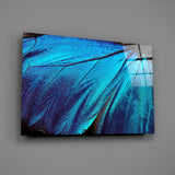 Butterfly Wing Glass Wall Art.