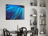 Butterfly Wing Glass Wall Art.