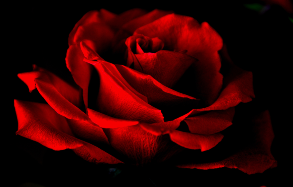  Impression Sur Verre