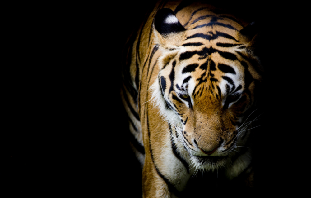  Impression Sur Verre