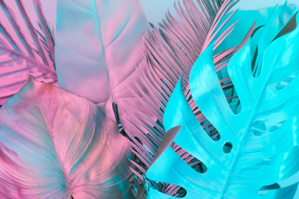 Feuille tropicale Impression sur verre