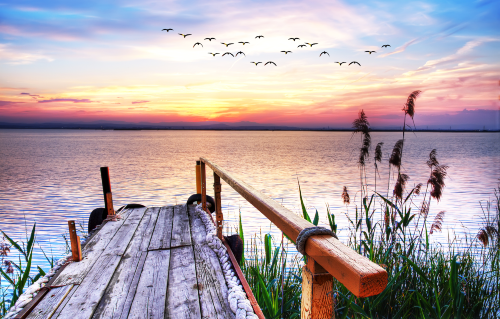 Arte della parete di vetro Dock