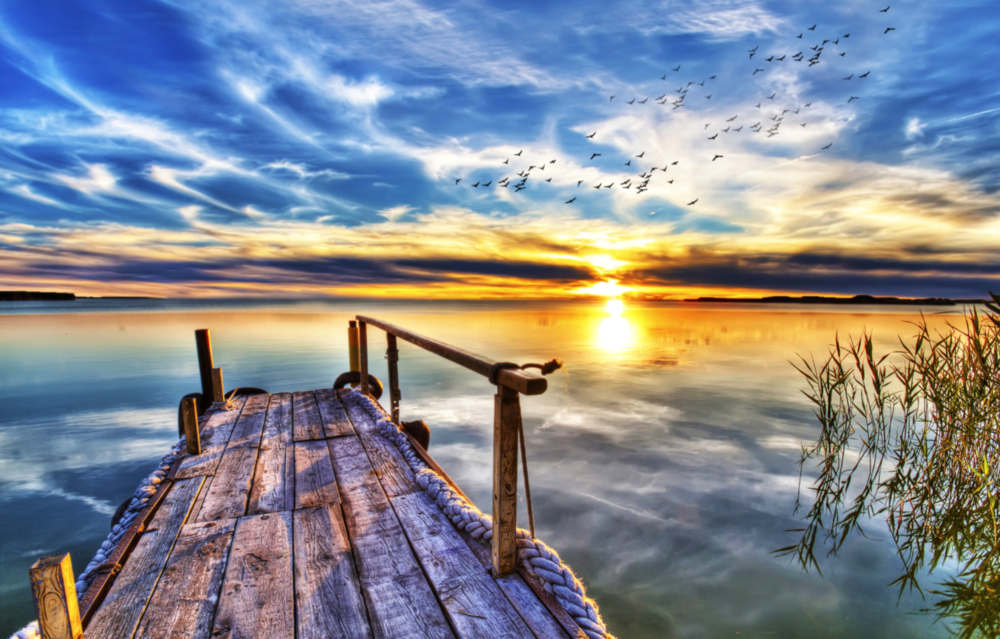 Arte della parete di vetro Dock