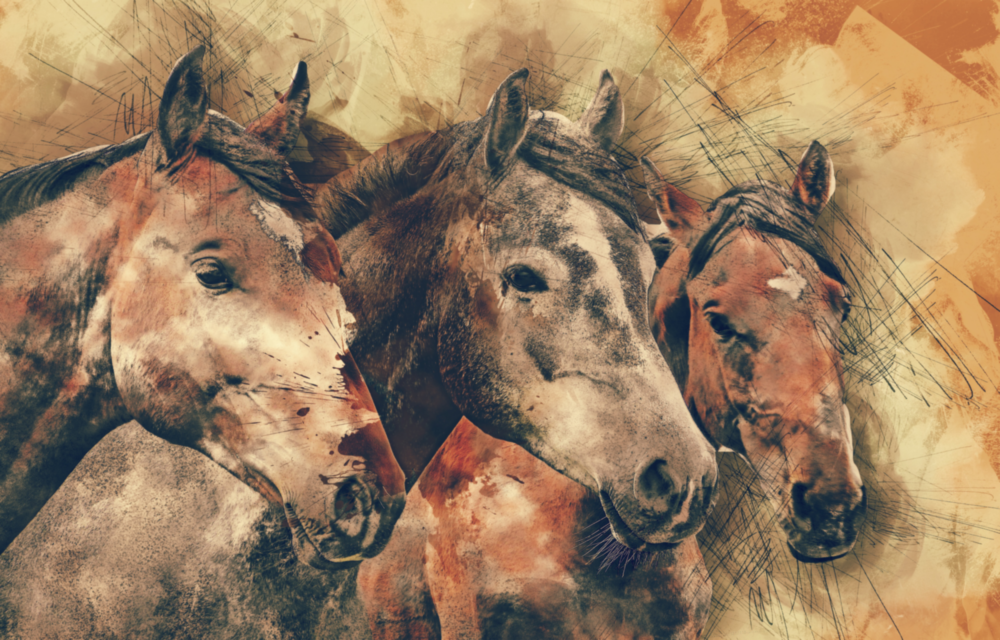 Horses Glass Wall Art
