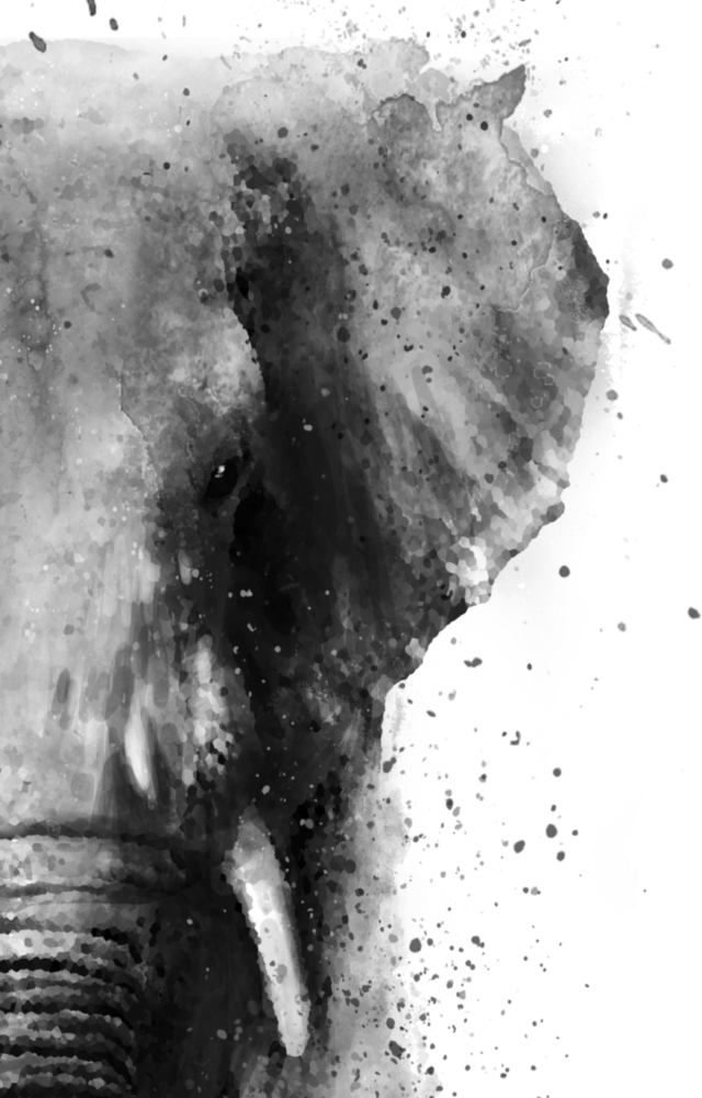 Arte della parete di vetro Elefante