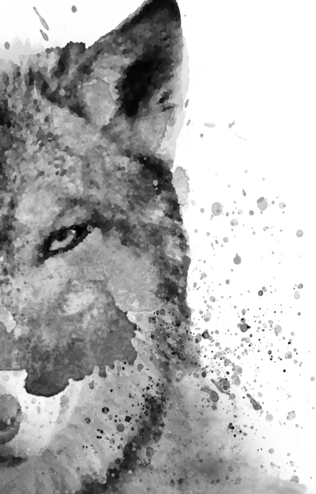 Loup Impression sur verre