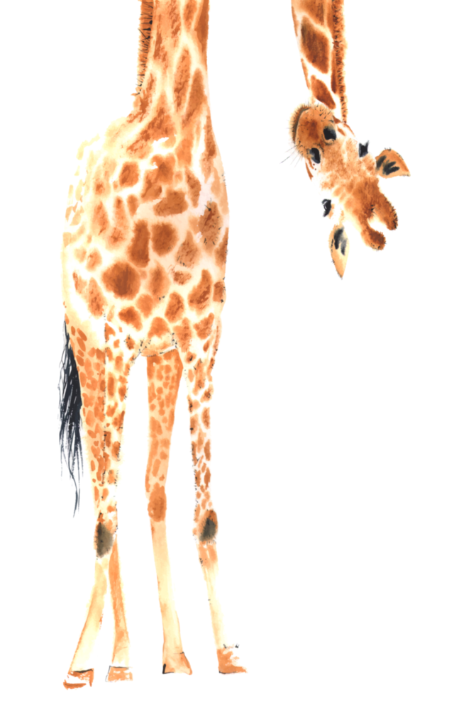 Arte de pared de vidrio de Jirafa