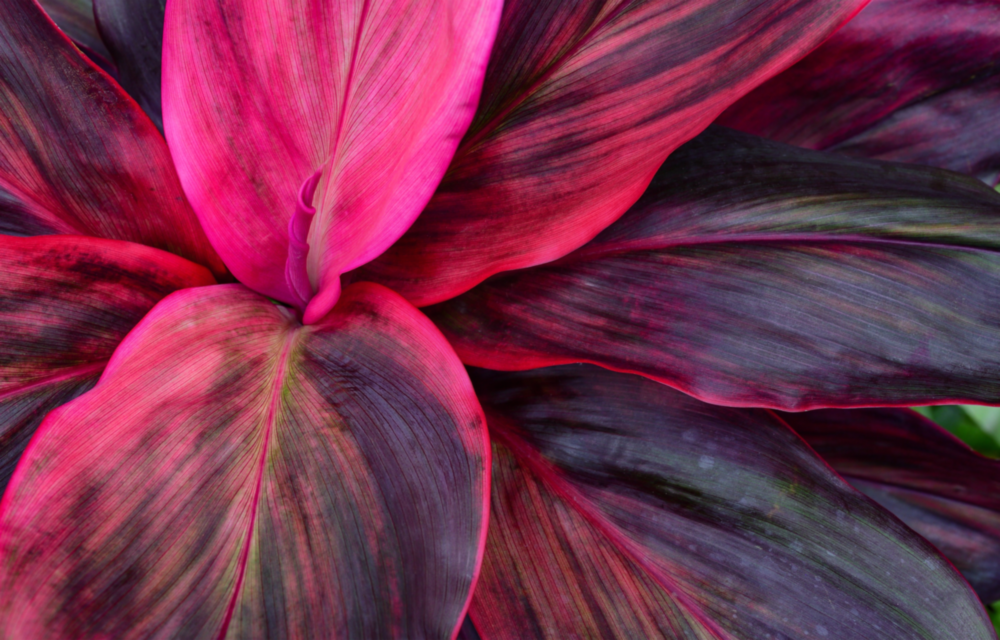 Feuille Impression sur verre