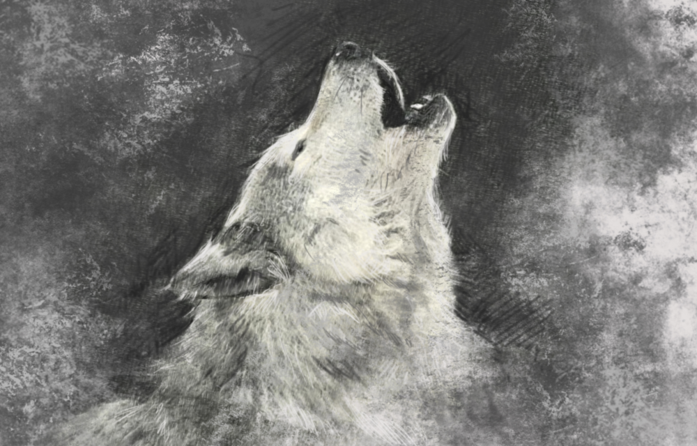 Wolf Glass Wall Art