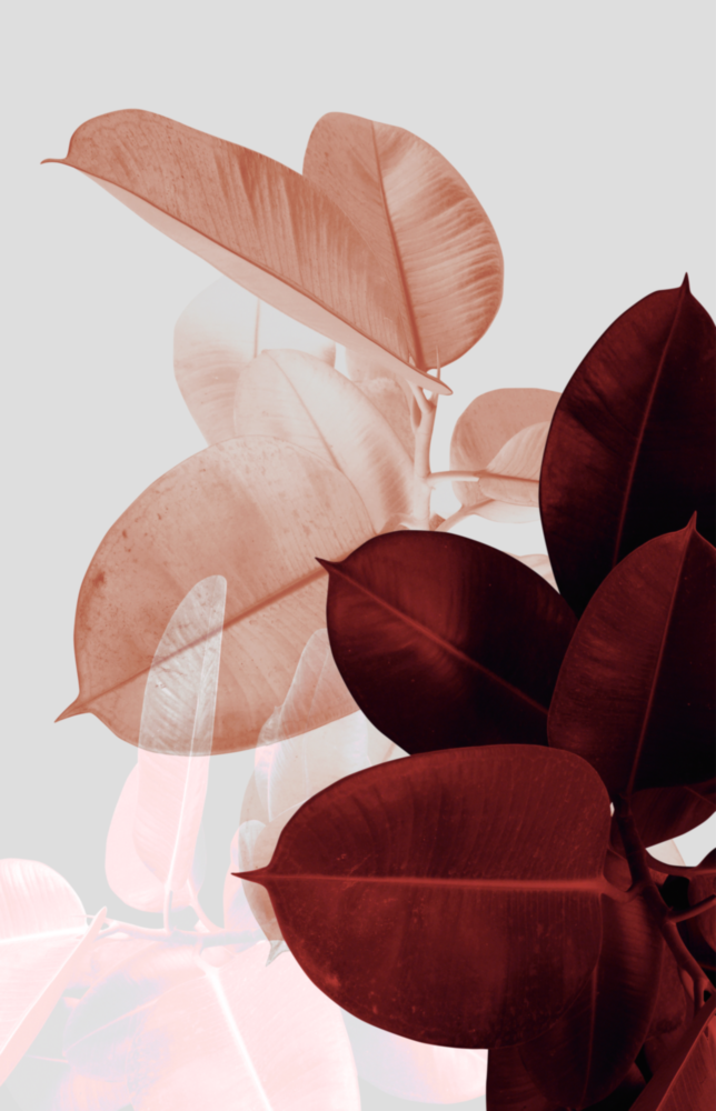 Arte della parete di vetro Foglie