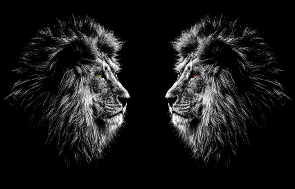 Lion Glass Wall Art