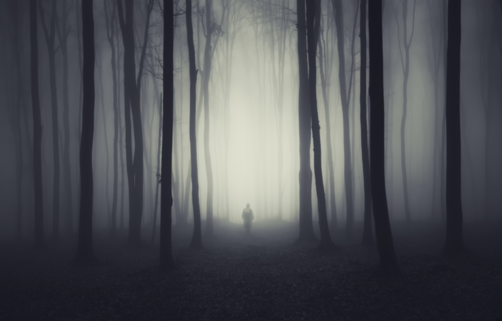 Foggy Forest Glass Wall Art