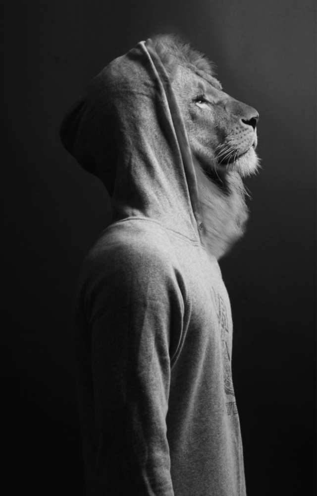 Arte della parete di vetro Testa di leone