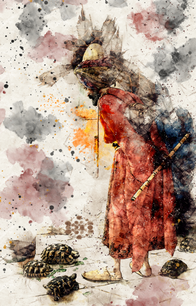 Arte della parete di vetro Illustrazione dell'allenatore tartaruga