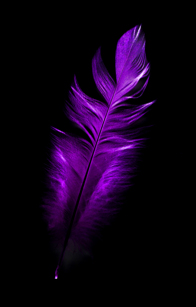 Purple Feather Glass Wall Art