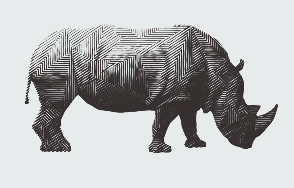 Nashorn Nashorn Glasbild