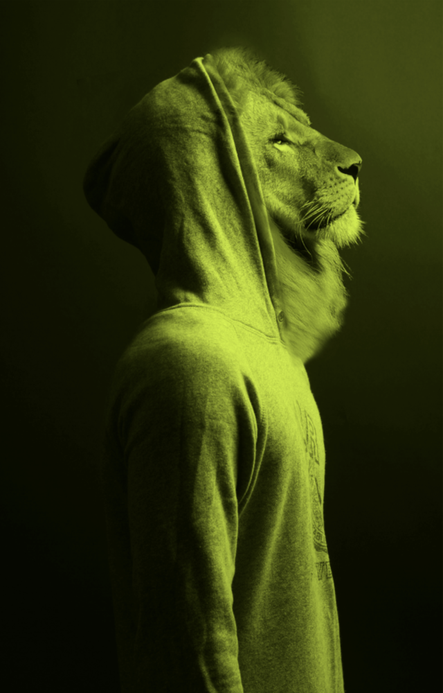 Tête de lion vert Impression sur verre