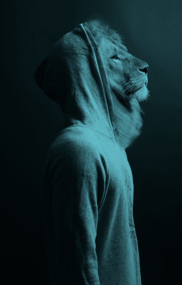 Blauer Löwenkopf Glasbild