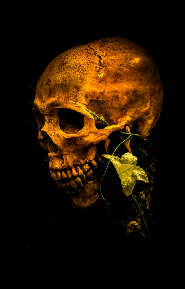 Blume und Schädel Glasbild