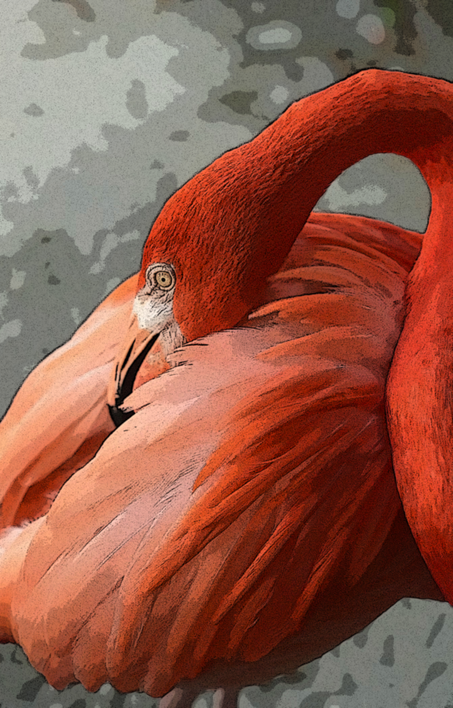 Flamant Impression sur verre