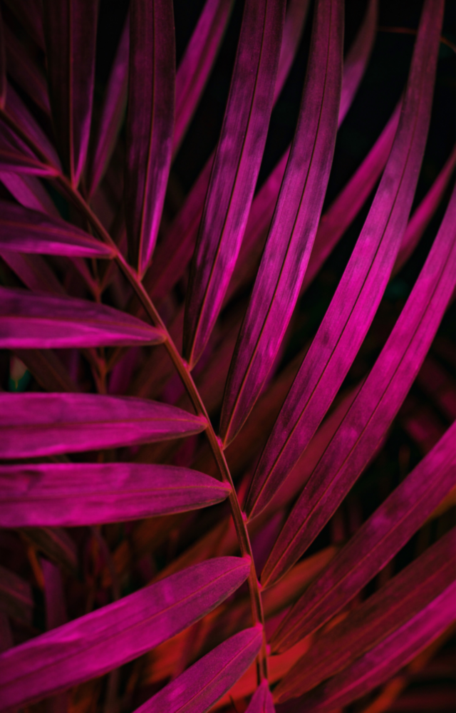Feuille violette Impression sur verre