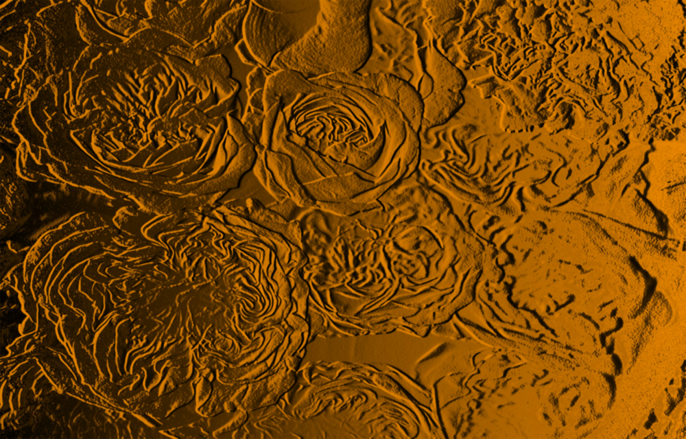 Arte della parete di vetro Rosa modellata