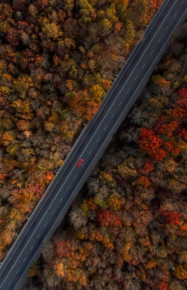 Arte della parete di vetro Autunno