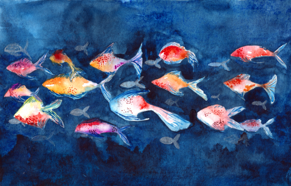 Fishs d'illustration Impression sur verre