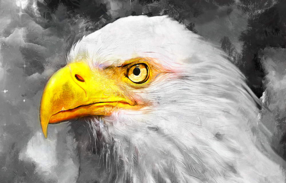 Eagle Glass Wall Art