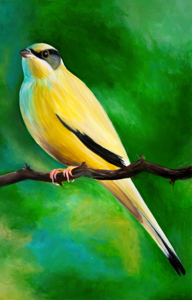 Arte della parete di vetro Uccello di vite giallo