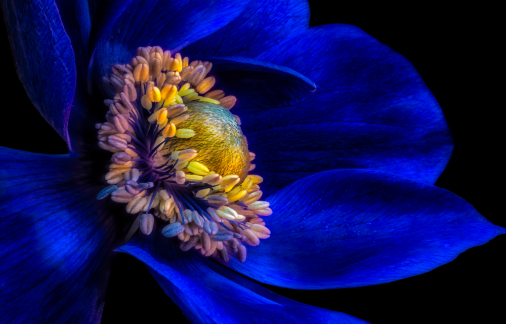 Arte della parete di vetro Ruota della fortuna