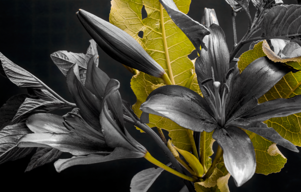 Arte della parete di vetro Fiori