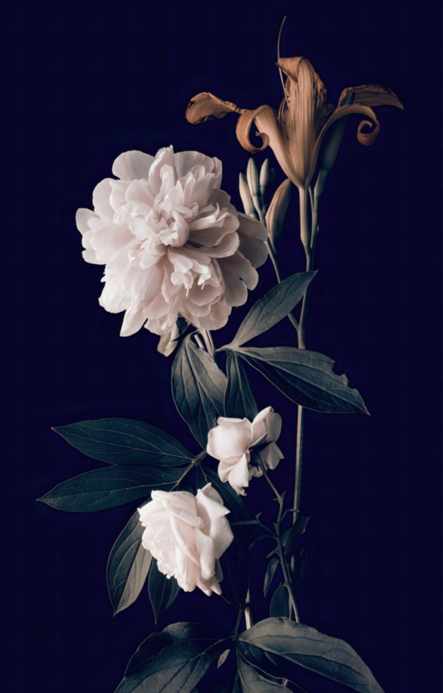 White Rose Glass Wall Art