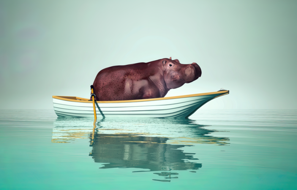 Arte della parete di vetro Ippopotamo