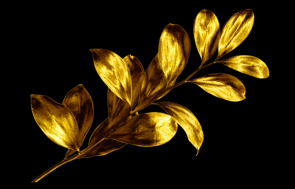 Arte della parete di vetro Foglie gialle