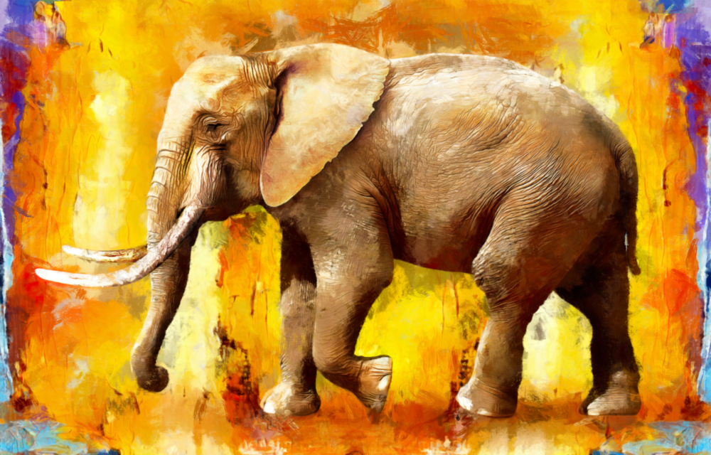 Arte della parete di vetro Elefante