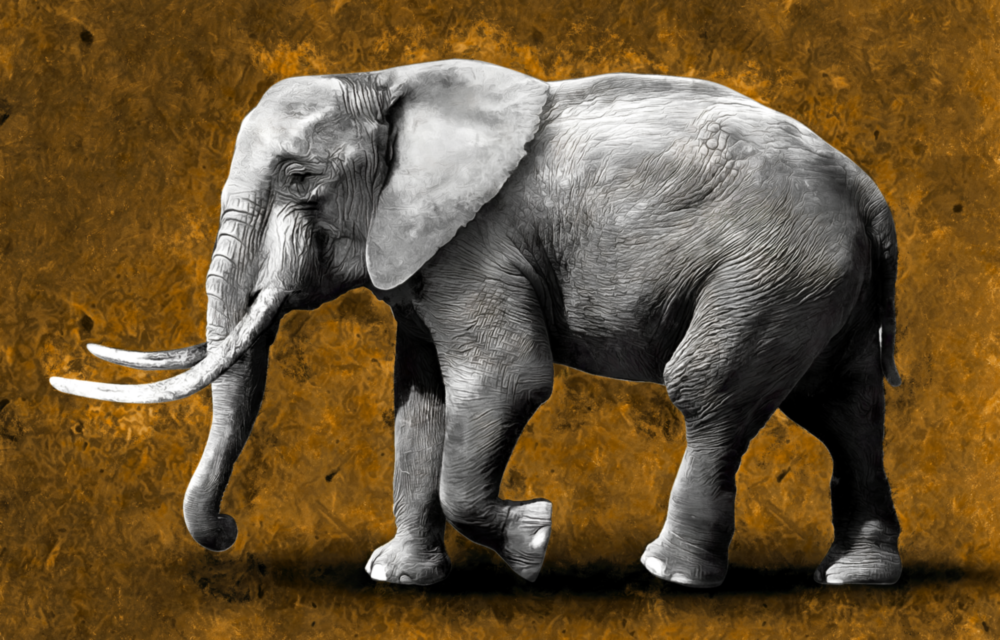 Arte de pared de vidrio de Elefante